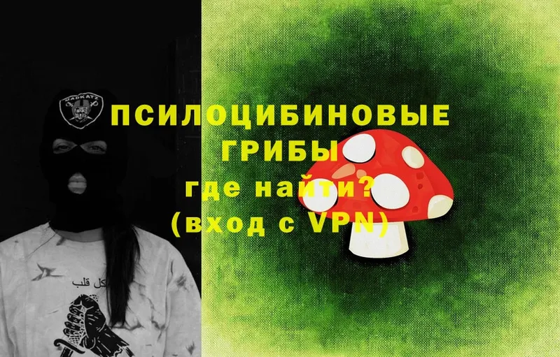 Псилоцибиновые грибы Psilocybe  даркнет клад  Новая Ляля  блэк спрут рабочий сайт 